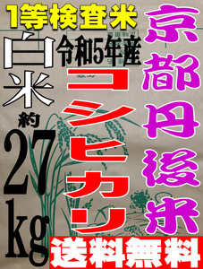 【送料無料 一等検査米】 令和5年産 京都 丹後 コシヒカリ 白米 約27kg