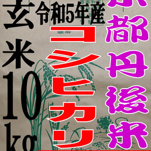 【送料無料 一等検査米】 令和5年度産 京都 丹後 コシヒカリ 玄米 10kgの画像1