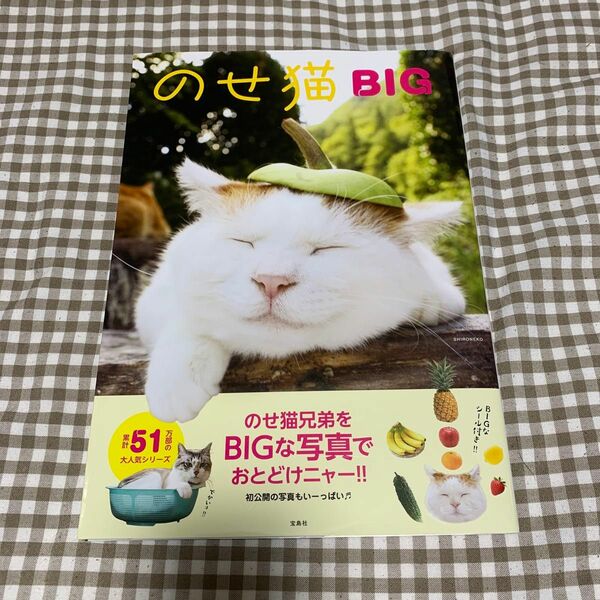 のせ猫　BIG