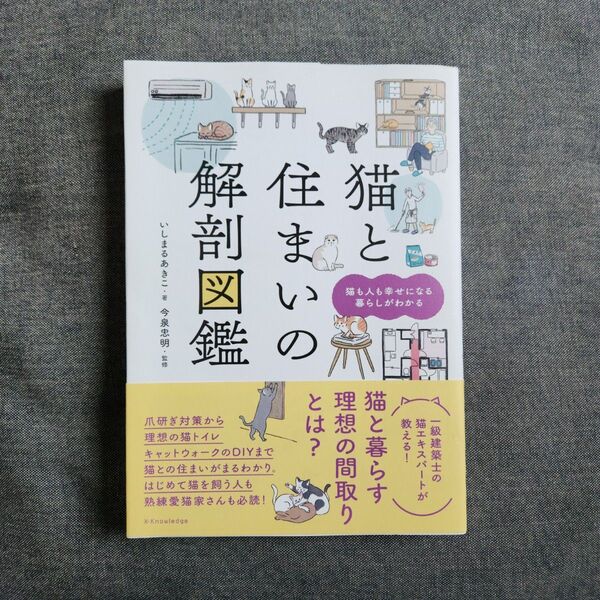 いしまるあきこ / 猫と住まいの解剖図鑑