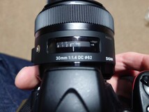 ニコン　D5300　SIGMA　F1.4　30mm　DC　Nikon　一眼レフ_画像10