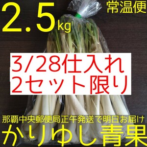 沖縄県産 島らっきょう約2.5kg【常温便無料】3/28