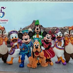 スペシャルフォト ディズニー 35周年 集合 ミッキー 40周年 スペフォ big8