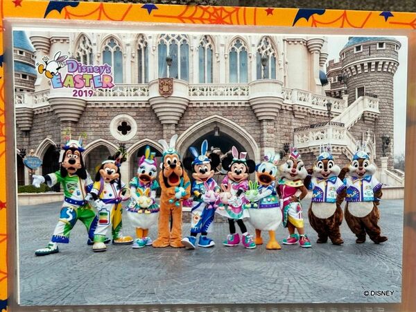 うさたま ディズニー スペシャルフォト 集合 40周年 ディズニーイースター