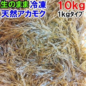 a duck k10kg(1kg×10 sack )[ raw. .. freezing small amount . goods ]. complete no addition!........ spring .ne spring bagibasa besides raw. .. shipping . have 