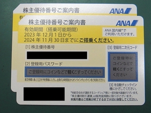 【株主優待券】ANA 2024年11月30日まで 2枚セット ナビでのパスワード通知可能