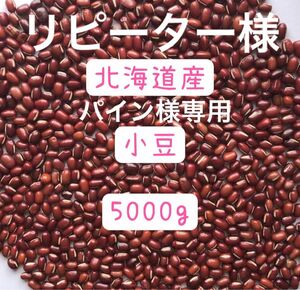 小豆(あずき) 北海道産　5キロ