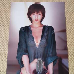 井上和香 2006年カレンダー(切離し品)の画像2