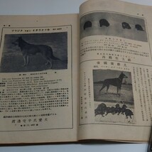 軍用犬　月刊誌　戦前本　陸軍資料_画像10