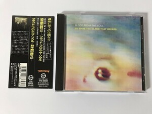 TH810 Blood From the Soul ブラッド・フロム・ザ・ソウル / 幼年期の終りに… 【CD】 0301