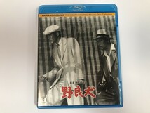 TG956 黒澤明 監督作品 / 野良犬 【Blu-ray】 228_画像1