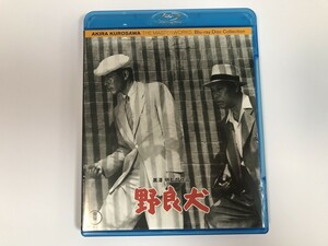 TG956 黒澤明 監督作品 / 野良犬 【Blu-ray】 228