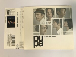 TH484 pupa(高橋幸宏) / dreaming pupa 【CD】 305