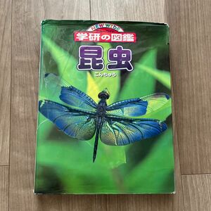 昆虫 ニューワイド学研の図鑑／学習研究社