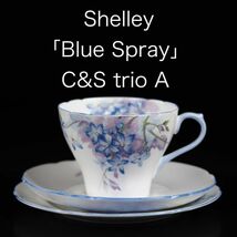 シェリー アール・デコ様式 カップ＆ソーサー トリオ A ( Shelley , Blue spray , アンティーク , マイセン )_画像1