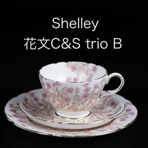 シェリー 花文カップ＆ソーサー トリオ B ( Shelley , アンティーク , マイセン )