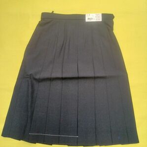 高校女子制服夏スカート