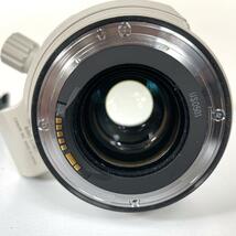 極美品 EF 28-300mm F3.5-5.6 L IS USM_画像4