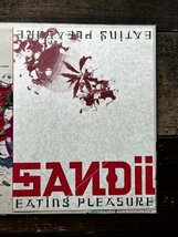 Sandii Eating Pleasure Alfa ALR-28002 YMO 細野晴臣 高橋幸宏 久保田麻琴 JAPANESE NEW WAVE 1980's_画像5