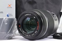 【 良品 | 動作保証 】 Panasonic LUMIX G X VARIO PZ 45-175mm F4.0-5.6 ASPH. POWER O.I.S H-PS45175 シルバー_画像1