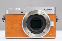 【 並品 | 動作保証 】 Panasonic LUMIX GF9 ボディ DC-GF9 オレンジ 【 microSDXCカード 64GB V30 追加付属 】_画像3