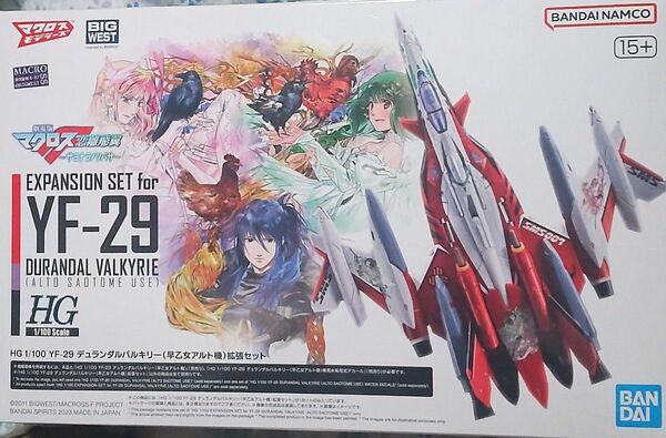 HG 1/100 YF-29 デュランダルバルキリー　早乙女アルト機　拡張セット