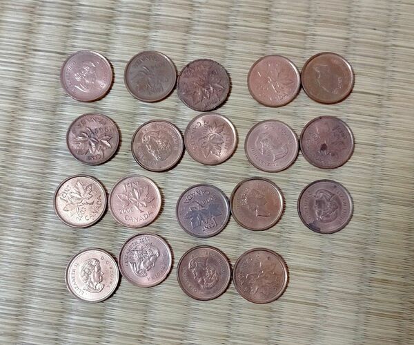 1セント硬貨19枚。カナダのコイン。