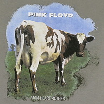 PINK FLOYD ピンクフロイド Atom Heart Mother Fade Tシャツ XLサイズ オフィシャル_画像2