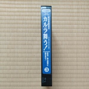 カルラ舞う！３ 砕波！夢幻魔界に愛を見た！変幻退魔夜行 仙台水芥子怨歌 VHS 映像確認済 鶴ひろみ 塩沢兼人の画像9