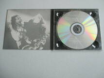 GUNS ’N’ ROSES GREATEST HITS 輸入盤 ガンズ・アンド・ローゼズ_画像3