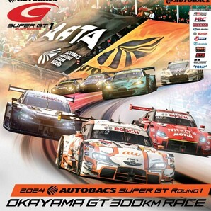 スーパーGT 第１戦 岡山国際サーキット 1人券・駐車券付日曜観戦券の画像1