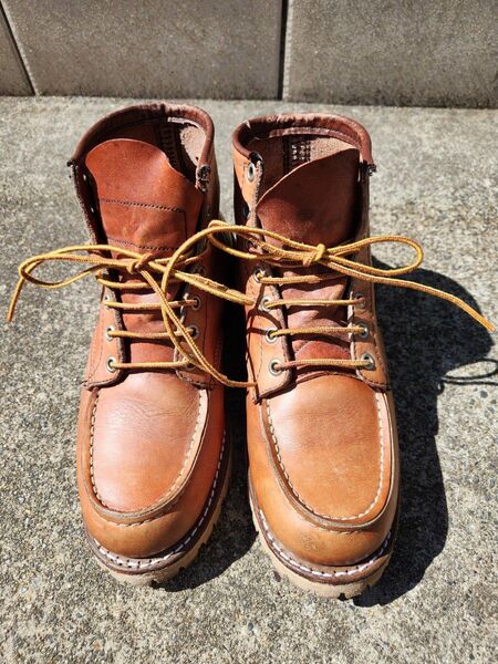 レッドウィング Irish Setter WING 875 7E 犬タグ 刻印