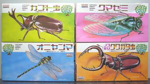  insect series * Kabuto insect bear zemi Prosopocoilus inclinatus insect oniyama1/1 have i