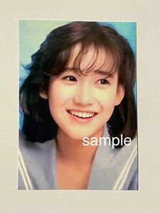 岡田有希子　L判　写真　アイドル　504