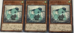 遊戯王 ノーマル 効果モンスター 3枚セット 星杯の守護竜 COTD