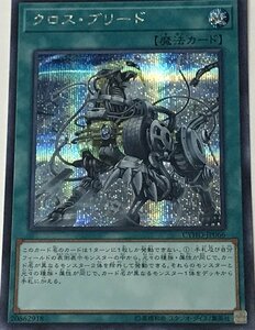 遊戯王 シークレット 魔法 1枚 クロス・ブリード CYHO