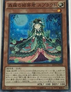 遊戯王 スーパー 効果モンスター 1枚 森羅の姫芽君 スプラウト EP14