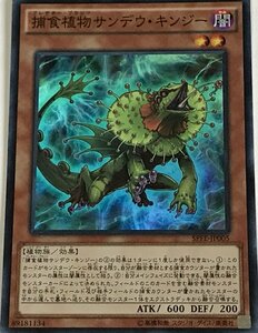 遊戯王 スーパー 効果モンスター 1枚 捕食植物サンデウ・キンジー SPFE