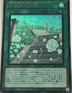 遊戯王 ウルトラ 魔法 1枚 白薔薇の回廊 20PP