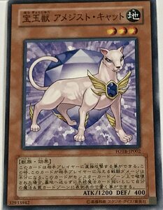 遊戯王 ノーマル 効果モンスター 1枚 宝玉獣 アメジスト・キャット FOTB