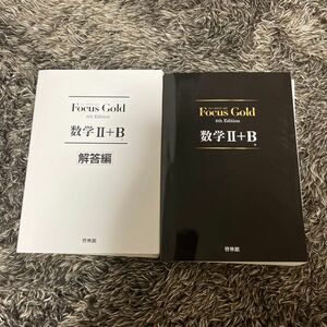 Focus Gold数学2+B