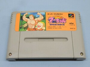 ★ジャングルの王者 ターちゃん 世界漫遊大格闘の巻 ゲームソフト SUPER FAMICOM用 スーパーファミコン USED 92153★！！