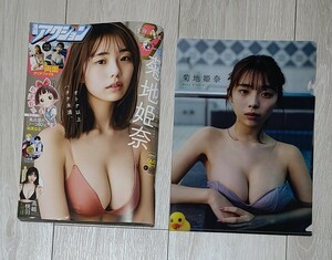 菊地姫奈　漫画アクション 2024年 6号 クリアファイル付き