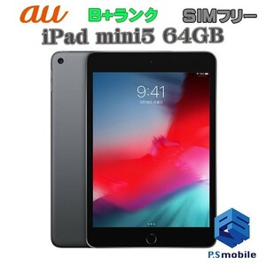 【美品】SIMロック解除済み SIMフリー au iPad mini4 Wi-Fi+Cellular 16GB Apple スペースグレイ アイパッド 判定○ 270543