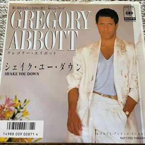 グレゴリーアボット　　　　　　　【希少】【美品】国内盤レコード