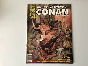 The Savage Sword of Conan the Barbarian 【コナン】(マーベル コミックス) Marvel Comics Vol. 1 No. 49 Feb. 1980年 英語版