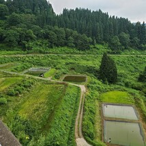 中山間地の野池