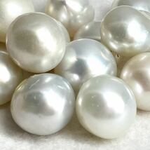 ［南洋白蝶14点おまとめ］M 50g/250ct 約11.5-23mm珠 pearl パール 本真珠 ジュエリー jewelry 裸石 宝石 pearl_画像2