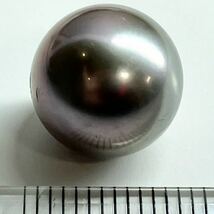 ［南洋黒蝶真珠2.6g］A 約13.139ct 12.1×12.1mm ルース 裸石 宝石 black pearl tahitian 真珠 テDA4_画像1