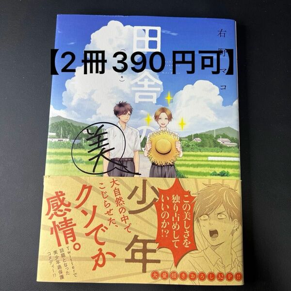 【2冊390円可】田舎の美少年1/右野マコ